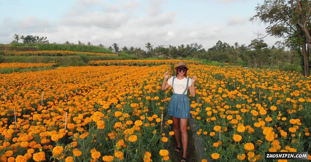 3333116|印度尼西亚巴厘岛菊花地的女性4K视频资料插图