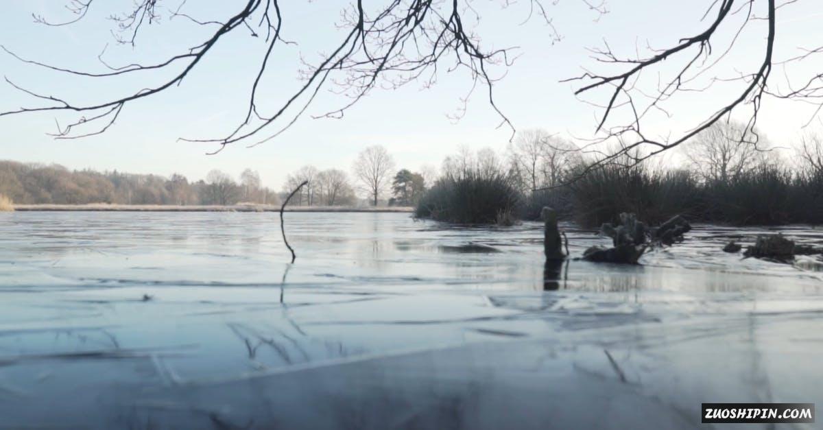 3234828|航拍冬季的湖面和枯枝视频素材插图