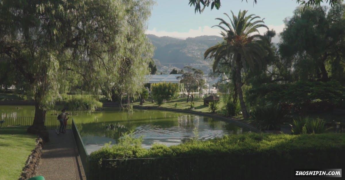 3139024|美国的公园水潭自然风景视频素材插图