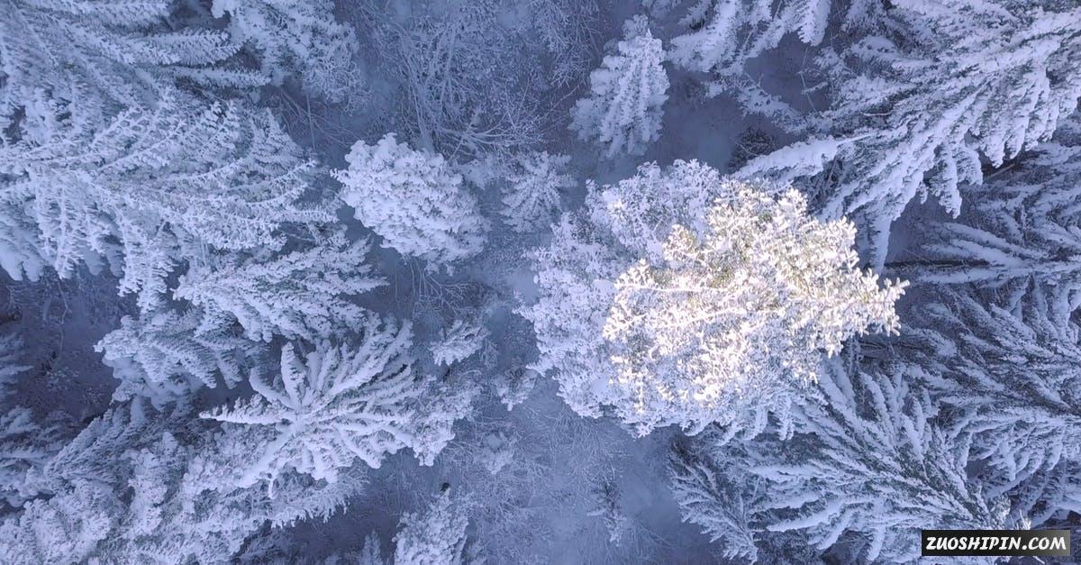 3346160|白色冰雪掩盖的森林航拍4K视频素材插图