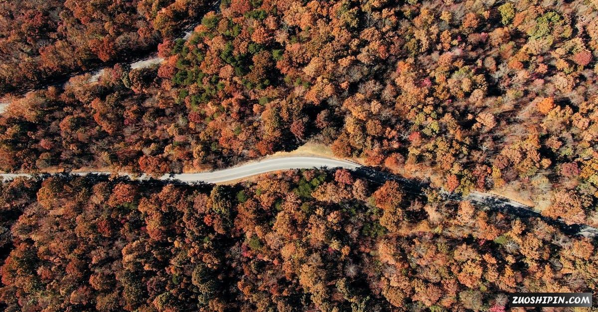 3235601|秋季的森林和公路航拍4K视频素材插图