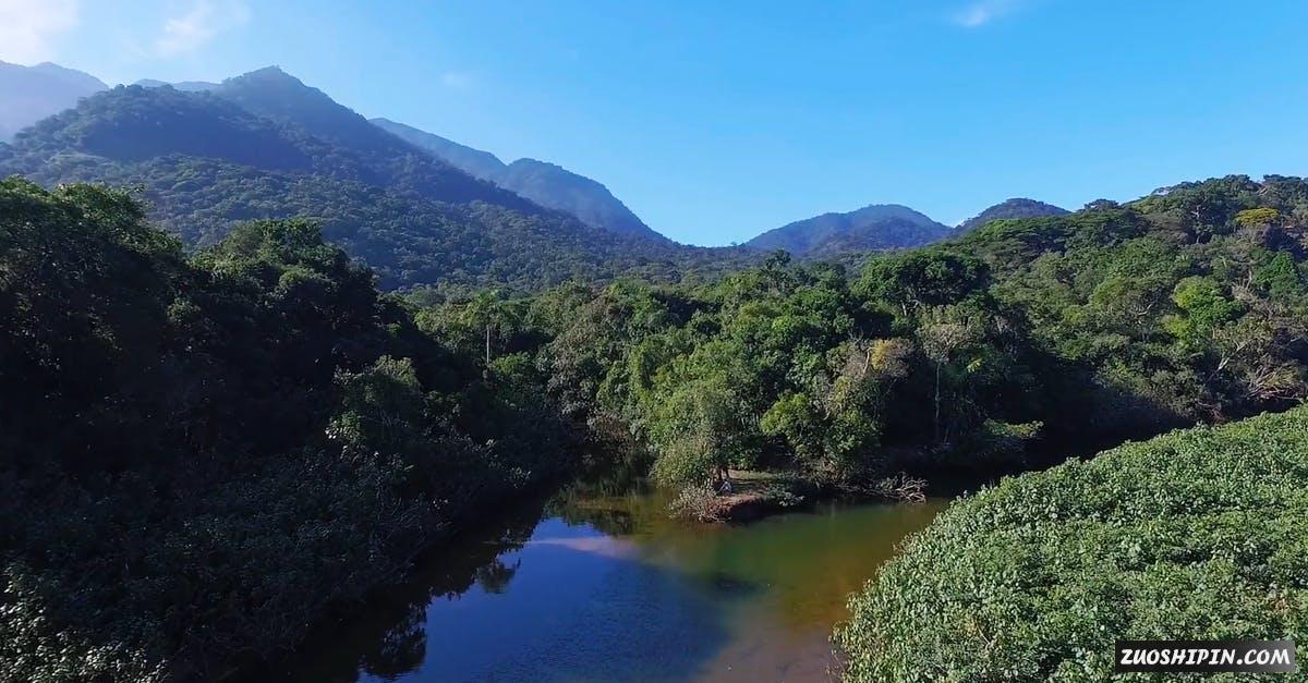 2655829|绿色生日大天然的山沟实拍视频资料插图