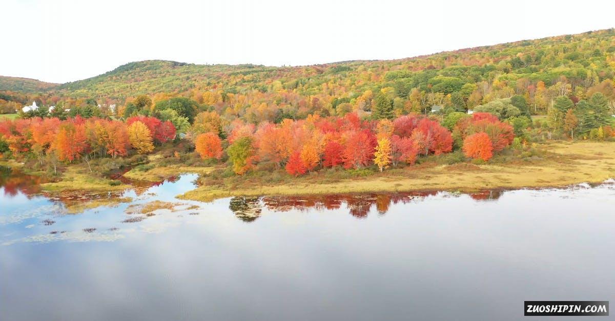 3173409|秋季五颜六色的森林湖景4K视频素材插图