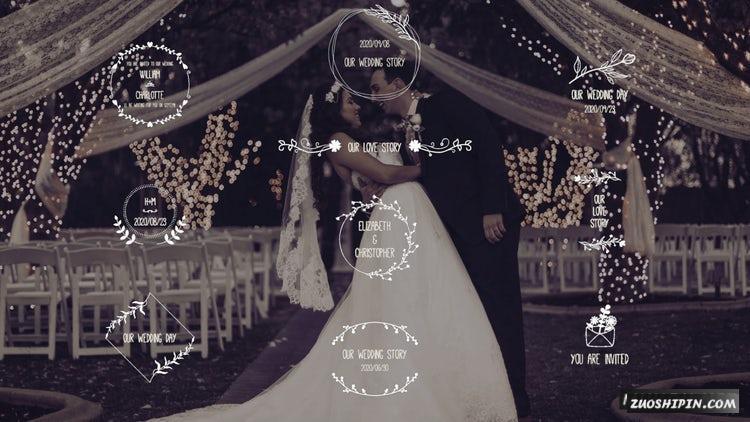 PR模板|优雅的婚礼头衔美丽花纹视频模板#Elegant Wedding Titles插图